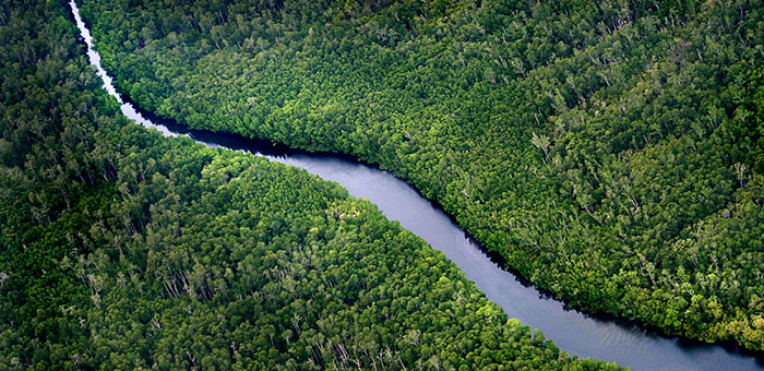 清潔的淡水，是日常生活不可或缺的資源
